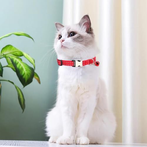 Red Puppy Collar with Bell, Reflective Nylon XS Dog Collars Soft Adjustable Buckle for XXS XSmall Small Dogs Tiny Pets Cats Boy Girl Kitten Yorkie Chihuahua X-Small - color: Red