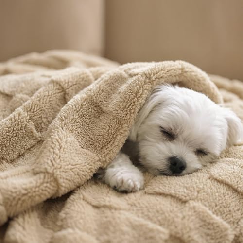 David's Home Large Dog Blankets Washable Pet Bed Cover, Soft Fluffy Fuzzy Cat Puppy Blanket with Premium 300GSM Fleece for Pet Kitten Doggy, Pale Khaki, 50x60IN - color: Pale Khaki, size: Throw