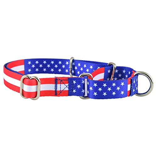 Martingale Collar for Dogs, No Slip Puppy Training for Boy or Girl, Small or Large Dogs, Cute Flower, Pink, American Flag Patterns (Large, American Flag) - color: American Flag, size: Large
