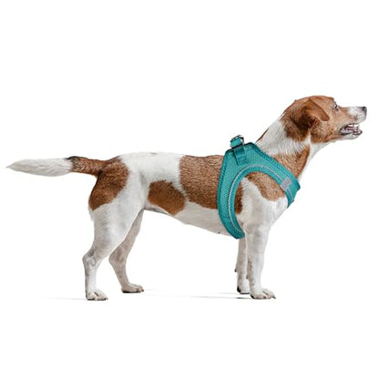 Filbert Dog Harness Small Sized Dog, Step-in Reflective Harness Small Sized Dogs, Puppy Vest, Mesh Vest, Adjustable, Soft, High Reflectivity, Breathable Fabric, Heavy Duty, Viridian Green - color: Viridian Green, size: Xs (Chest: 12.75 - 13.75")