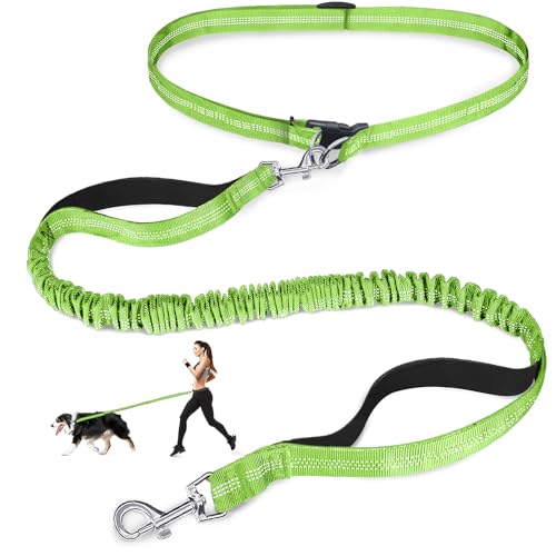 Laqibak Hands Free Dog Leash, Adjustable Waist Leash for Dog Walking, Dual Bungee Dog 4.2-6.7 Feet Long with Reflective Stitches for Walking Hiking Running, Fits 26"- 43" Inch Waist, Green - color: Green
