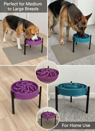 Adjustable Width Dog Bowl Holder - Single Bowl Feeder for Medium to Large Breed Dogs, fits Bowls from 8-11 inches, Sturdy Metal Construction, Ergonomic Design (Bowl not Included) (1-Pack) - size: 1-Pack
