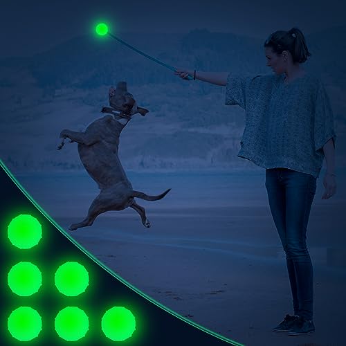 Liliful 10 Pcs Glow in the Dark Dog Toys 2.4 Inch Dog Balls Rubber Glowing Fetch Ball with Net Bag for Puppy Small Breed Dogs Only