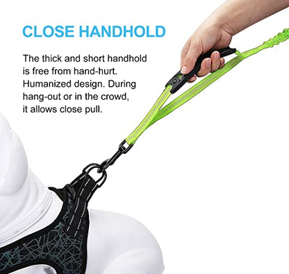 6FT Highly Reflective Heavy Duty Elastic Bungee Medium and Large Dog Leash Shock Absorbing with Comfortable Padded Handle and Traffic Handle Suitable for Training - color: Green