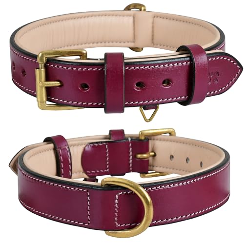 Genuine Leather Dog Collar – 1" Wide Full Grain, Padded, Heavy Duty with Brass Buckle for Small, Medium, Large, XL Dogs (Medium (Fit Neck Size 14.5"-18.5"), Dark Pink) - color: Dark Pink, size: M (Fit Neck Size 14.5"-18.5")