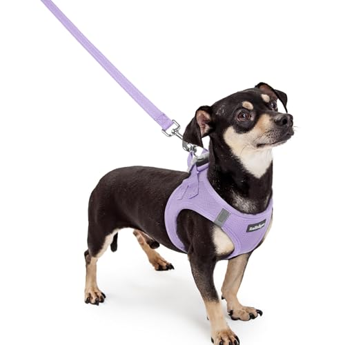 rabbitgoo Dog Harness Small Sized and Leash Set, Step in Soft Light Puppy Vest, Breathable Mesh Pet Harness, Reflective for Safe Easy Walking, Light Purple XXXS - color: Light Purple, size: Xxxs (chest: 10.8 - 11.8")