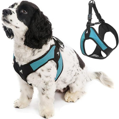 Gooby - Escape Free Easy Fit Harness, Small Dog Step-in Harness for Dogs that Like to Escape Their Harness, Turquoise, Medium - color: Turquoise, size: Medium chest (18~21.75")