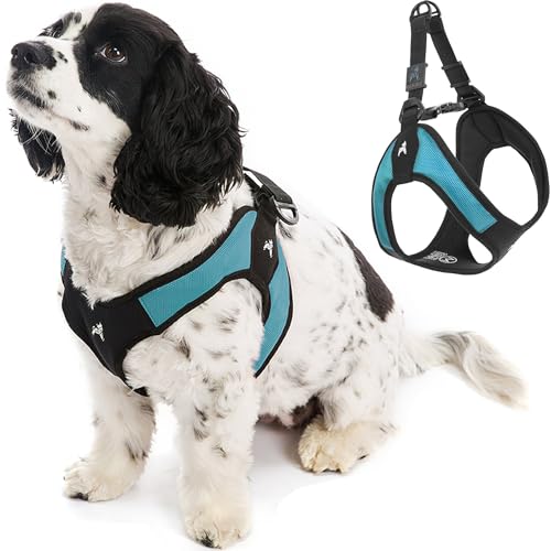 Gooby - Escape Free Easy Fit Harness, Small Dog Step-in Harness for Dogs that Like to Escape Their Harness, Turquoise, Small - color: Turquoise, size: Small chest (16~19.25")