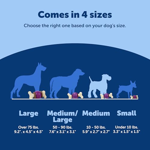 PetSafe Busy Buddy Bouncy Bone, Treat Holding Dog Toy, Medium, Best for Dogs 10-50 Lb. - size: Medium, style: 3-in-1 Slow Feeder Toy