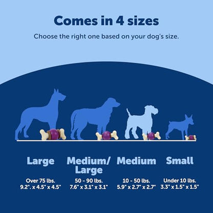 PetSafe Busy Buddy Bouncy Bone, Treat Holding Dog Toy, Medium, Best for Dogs 10-50 Lb. - size: Medium, style: 3-in-1 Slow Feeder Toy