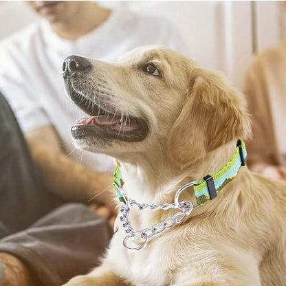 Martingale Dog Collars with Stainless Steel Chain, Reflective No Pull Walking Training Collar with Quick Release Buckle, Adjustable Slip Chain Nylon Dog Collars for Small Medium Large Dogs - color: Green and blue, size: Small