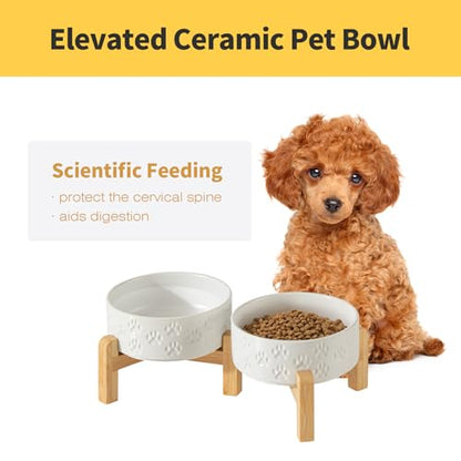Elevated Ceramic Dog Bowl Set, 5.1" Dog Bowls with Dual Fixed Heights Stand, Elevated Food & Water Bowls for Adult Cats, Small-Breed Puppies, Non-Slip (Double Bowls + Stand - White, 5.1 inch) - color: Double Bowls + Stand - White, size: Xs - 5.1 Inch