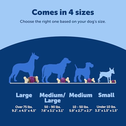 PetSafe Busy Buddy Bouncy Bone, Treat Holding Dog Toy, Small, Best for Dogs Up to 10 Lb. - size: Small, style: 3-in-1 Slow Feeder Toy