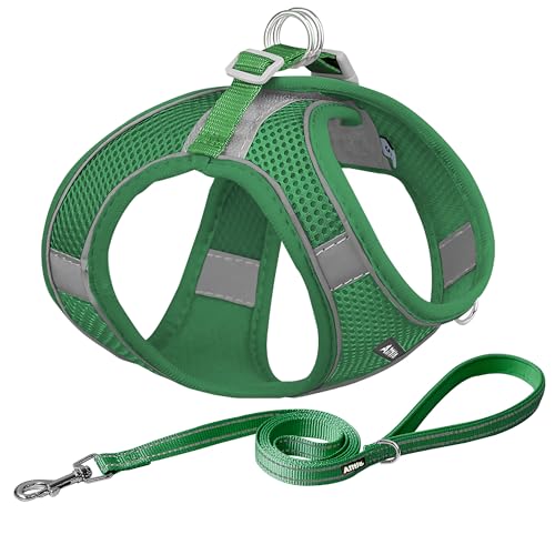 AIITLE Dog Harness, No-Pull Cat Harness with a Leash, Adjustable Reflective Dog Vest, Cat Harness Escape Proof, Outdoor Walking, Running,Training for Extra Small Dogs and House Cats Green XXXS - color: Green, size: XXXS(Chest: 8.5 - 10")