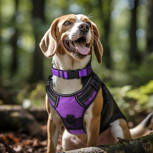 Reflective Dog Collar,Soft Neoprene Padded Breathable Nylon Pet Collar Adjustable for Large Dogs,Purple, L - color: Purple
