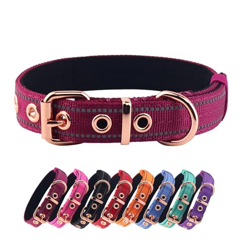 Neoprene Padded Dog Collar, Nylon Collar for Small to Large Dogs, Heavy Duty with Metal Buckle, Reflective(Small, Wine red) - color: Wine red, size: Small(Pack of 1)