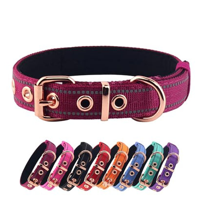 Neoprene Padded Dog Collar, Nylon Collar for Small to Large Dogs, Heavy Duty with Metal Buckle, Reflective(Small, Wine red) - color: Wine red, size: Small(Pack of 1)