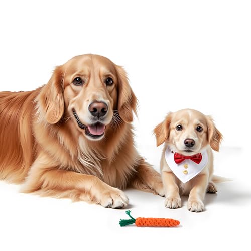 Handmade Braided Carrot Shape Chew Toy, Orange with Green Leaves, 8.66 Inch Length, Durable Pet Dental Toy, (1 Piece Set)