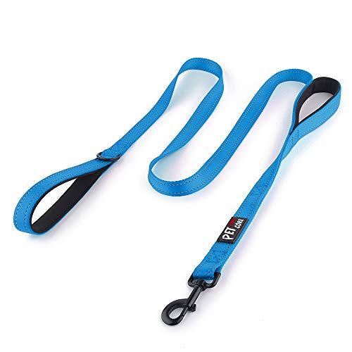 Plutus Pet Double Handle Dog Leash 5ft, Heavy Duty, Reflective Dual Handle Dog Leash for Safety Training, for Medium Large Dogs,2 Handle Leads(Blue) - color: Blue, size: 5 FT