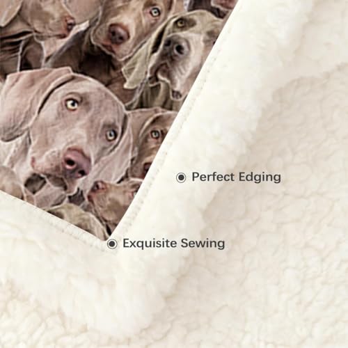 BlessLiving Weimaraner Fuzzy Dog Blanket for Kids Adults - Cute Puppy Fleece Blanket with Animal Pattern - Reversible Sherpa Couch Sofa Bed Throw (50 x 60 Inches) - color: Weima Dog 1, size: Throw, 50 x 60 Inches