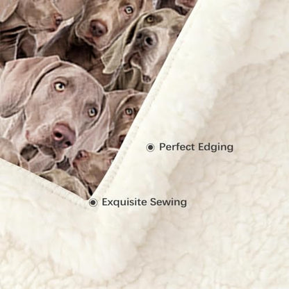 BlessLiving Weimaraner Fuzzy Dog Blanket for Kids Adults - Cute Puppy Fleece Blanket with Animal Pattern - Reversible Sherpa Couch Sofa Bed Throw (50 x 60 Inches) - color: Weima Dog 1, size: Throw, 50 x 60 Inches
