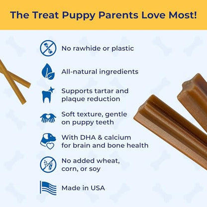 N-Bone Puppy Teething Sticks Peanut Butter Flavor, 3.74-oz Bag - size: 3.7 Ounce (Pack of 1)
