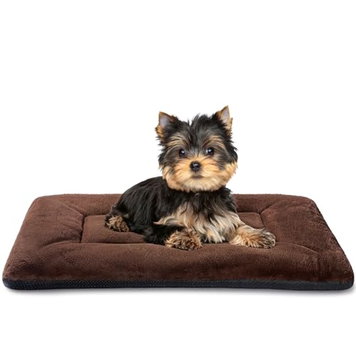 Dog Crate Pad 24 Inch, Washable Plush Crate Mat for Small Dogs and Puppies, Anti Slip Kennel Pad for Metal Crates, Indoor Use and Travel, Brown - color: Brown, size: 24.0"L x 18.0"W x 1.5"Th