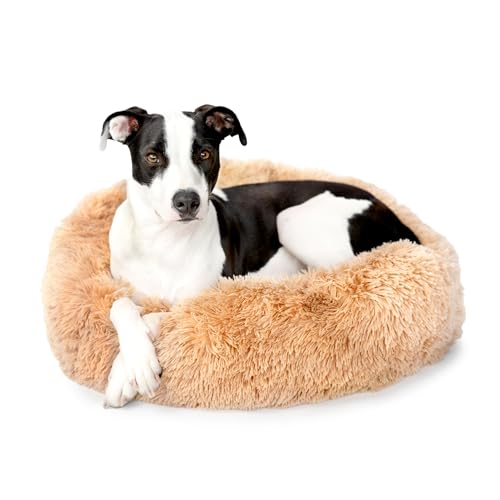 Barkbox Dog Bed, 2-in-1 Memory Foam Donut Cuddler Dog and Cat Bed, Calming Orthopedic Joint Relief Fur Crate Lounger for Pets, Machine Washable + Removable Cover, Waterproof Lining, Includes Toy - color: Sand, size: Medium