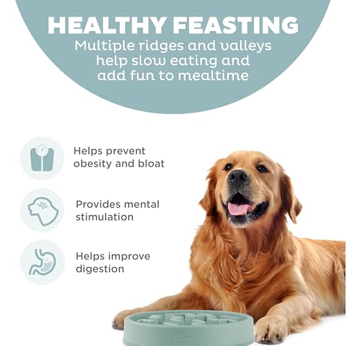 Outward Hound Fun Feeder Slo Bowl – Large 4‑Cup Capacity, Slow Feeding, Medium to Large Dogs, Non‑Slip, Sage, Notch Pattern - size: Large