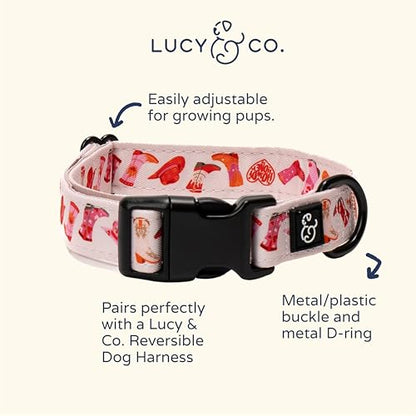 Lucy & Co. Dog Collar - Durable Lightweight Designer Collar for Pets - Adjustable Metal Safety Buckel. (Howdy, Honey, Small). - color: Howdy, Honey, size: Small