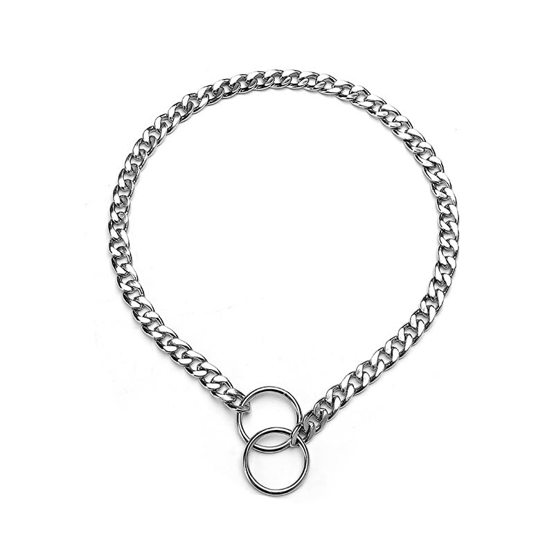 Silver Dog Choke Collars,Metal Slip Link Martingale Choker Dog Collar Heavy Duty Training Dog Collars Puppy Collars for XS Small Medium Large Big Breed Dogs,XS - color: Flat Sliver Chain, size: XS(Neck Max 12inch)D2.0mm