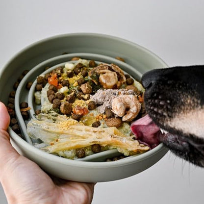 Should We Go? Slow Feeder for Dogs & Puppies, The Slowdown Bowl Silicone Slow Eating, Modern Lick Mat Design, Reduces Gulping, Fits 2 Cups, 7.5” Across x 1.5” Tall, Mealtime Challenge, Medium-Sage - color: Sage - Rainbow Design, size: Medium (7.5” Across