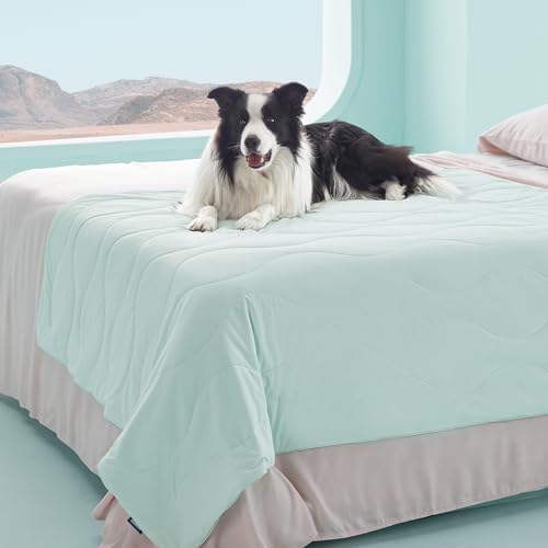 Bedsure Premium Cooling Blanket for Extra Large Dog - Q-MAX>0.5, Breathable Summer Washable Cold Pet Mat, Soft Durable Self Cooling Dog Mat for Hot Weather, Turquoise Green, 50x60 - color: Turquoise Green, size: XL(50x60")