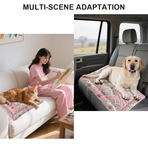 Ultra Soft Cat Beds with Anti-Slip Bottom, Pretty Air Balloons Dog Crate Tray Pet Pad Anti Anxiety Dog Bed Comfortable Bed Mat for Indoor& Outdoor Sofa Cars, Machine Washable 24 X 36 Inch - size: 36 × 24 inch