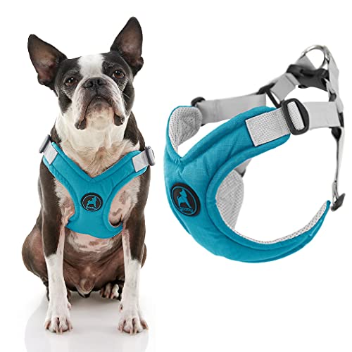 Gooby Memory Foam Step in Harness - Turquoise, Small - No Pull Small Dog Harness Patented Choke-Free X Frame - Perfect on the Go Dog Harness for Medium Dogs No Pull or Small Dogs - color: Turquoise, size: Small chest (14.5-17.75")