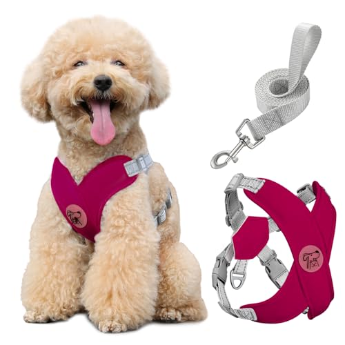 Pawaboo Small Dog Harness and Leash Set, Puppy Harness X-Frame No Pull No Choke, Dog Vest Harness Adjustable for Small Medium Sized Dogs, Soft Breathable Pet Harness for Walking Outing, M, Magenta - color: A-Magenta, size: M(Neck 15.7-18.9" Chest 14.2-23.