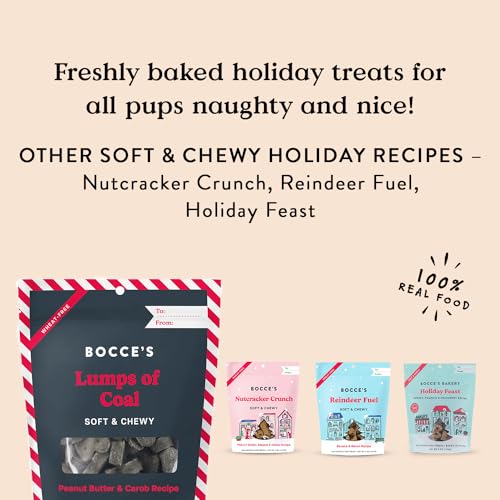 Bocce's Bakery Lumps of Coal Recipe Treats for Dogs, Wheat-Free Everyday Dog Treats, Made with Real Ingredients, Baked in The USA, All-Natural Soft & Chewy Cookies, Peanut Butter & Molasses, 6 oz - size: 6 Ounce (Pack of 2)