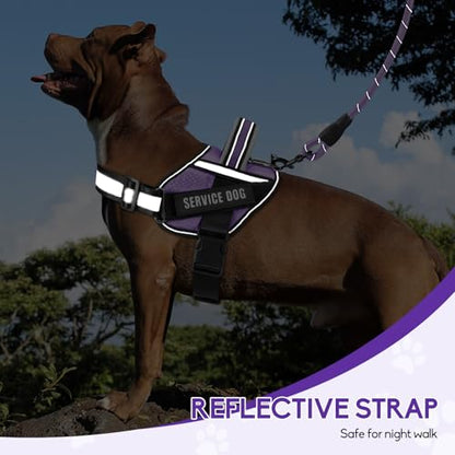 Service Dog Vest Harness and Leash Set, Animire in Training Dog Harness with 10 Dog Patches, Reflective Dog Leash with Soft Padded Handle for Small, Medium, Large, and Extra-Large Dogs - color: Purple, size: XXS
