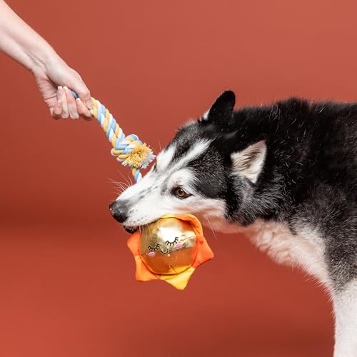 Fringe Studio Plush Dog Toy with Rope, Sun-Day I'm in Love, Pet Shop Collection (314526) - color: Sun-Day I'M In Love