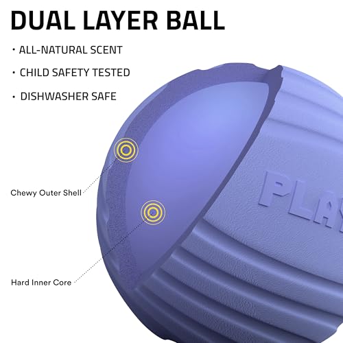 Playology Dog Toys | Dual Layer Ball Durable Chew Toy for Tough Chewers | Blueberry Scented Medium Dog Toy | Chew Toys for Dogs - size: Medium, style: Blueberry