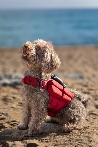 NOAH & PAW Dog Life Jacket, Human Standards Lifejacket Design, Dog Life Vest for Swimming and Boating, 3X Foam Support for Max Floating, Breathable Mesh, Salvavidas para Perros, Size XS - size: XS