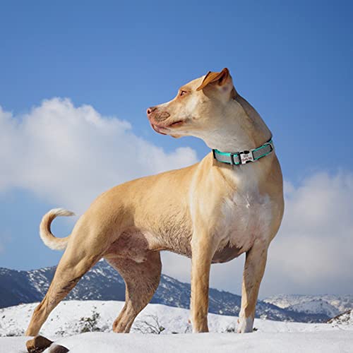 Reflective Personalized Dog Collar - Custom Engraved with Pet Name and Phone Number for Boy and Girl Dogs, 4 Adjustable Sizes, XSmall,Small, Medium and Large - color: Engraved