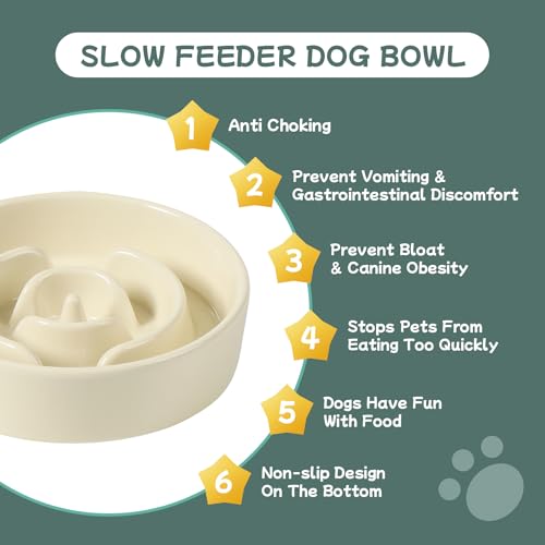 Havniva 6.1” Raised Slow Feeder Dog Bowls, 0.9 Cups Ceramic Dog Bowl Slow Feeding for Small Breed, Elevated Puzzle Dog Food Bowl with Wooden Stand Non-Slip Anti-Gulping & Anti-Choking - color: 1 x Light Yellow+Stand-A, size: 6.1inch-New