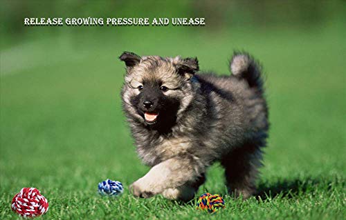 Pet Chew Toy, Knots Weave Cotton Rope, Biting Small Ball for Dogs & Cats, 3 in One Pack - style: 3 Pack