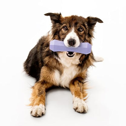 Playology Dog Toys | Squeaky Chew Stick for Large Dogs | Lamb Scented Jumbo Fetch Toy | Squeaky Dog Chew Toy - size: Jumbo, style: Lamb