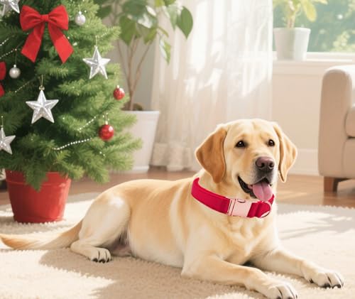 Tunkoo Super Soft Dog Collar with Red Silk - for Christmas/Holidays/Weddings, Luxury Rose Gold Buckle, Small Medium Large Adjustable Sizes, M - color: F - Red, size: Medium