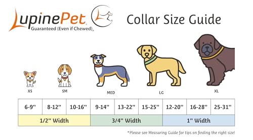 LupinePet Waterproof Splash Dog Collar, Brick Red, 1-inch Wide, adjusts 16-28", Made with BioThane - color: Brick Red, size: Large: Adjusts from 16 to 28 in, 1-in wide