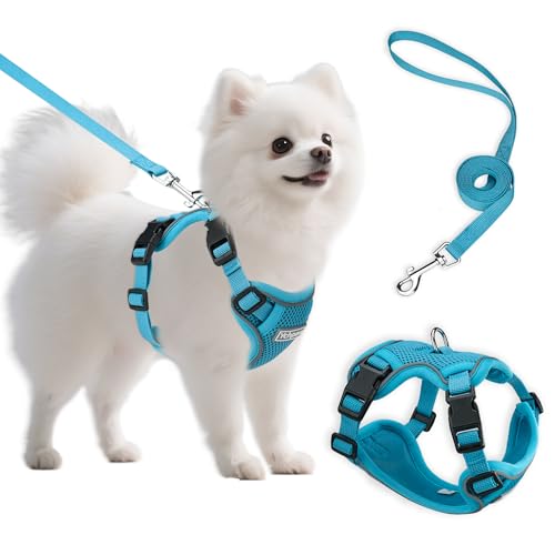 Small Dog Harness and Leash Set, Reflective Soft Breathable Mesh Vest, 3 Buckles, Adjustable Neck and Chest,Step in Dog Harness for Walking, Running, Training, Turquoise, S - color: Turquoise, size: Small