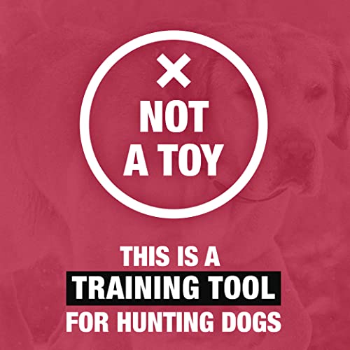 HUNTMARK Dog Bumpers – Standard Fetch Trainer for Hunting and Sporting Dogs – Puppy Training Dummy with Textured Pattern – Color-Spectrum Retrieving Bumpers – 12 x 2-inch - color: White