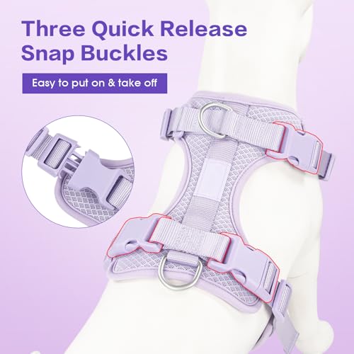 Dog Harness Medium Sized, Pet Vest with Front Clip, Adjustable Puppy Harness with 3 Fast Release Buckles[Easy to Put on & Take Off] (Lilac, XS) - color: Lilac, size: XS: Neck=10"-14"/Chest=11"-19"